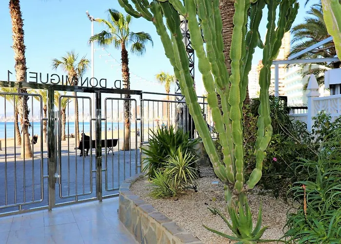 Don Miguel 2-a Levante